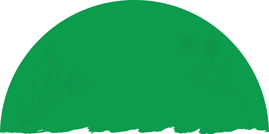 background shape