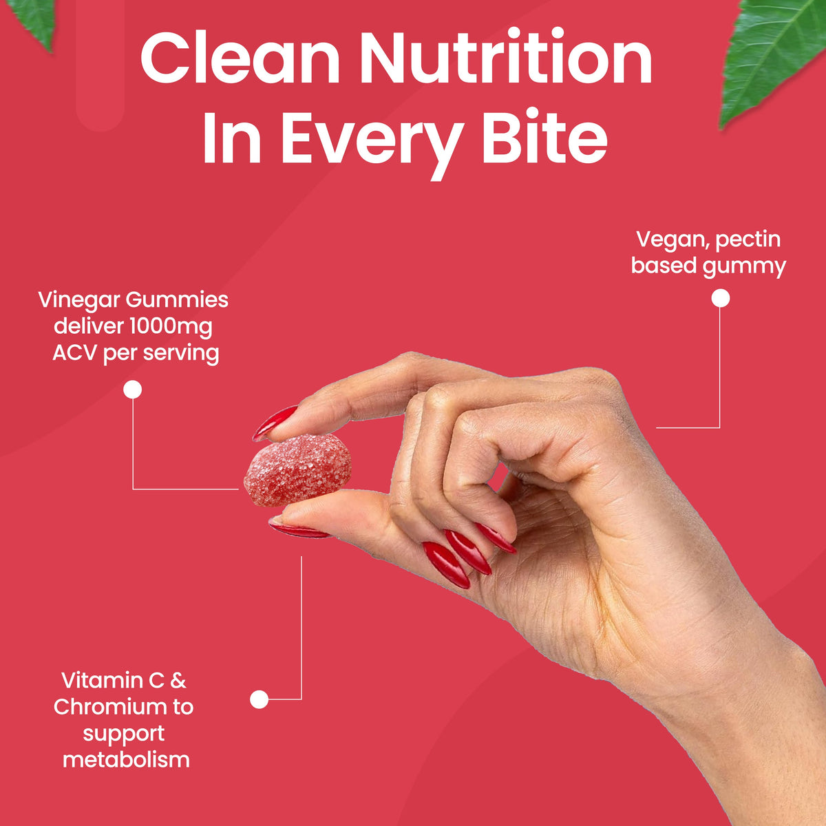 Onvit Nutrition Apple Cider Vinegar Gummies – Zero Sugar Vegan+ – 60 Gummies